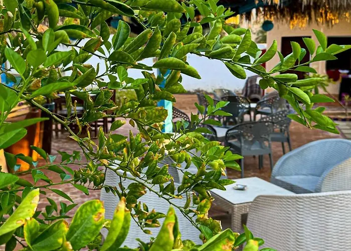 Otel Miramar Camp Dahab