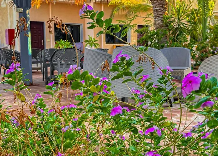 Miramar Camp * Dahab