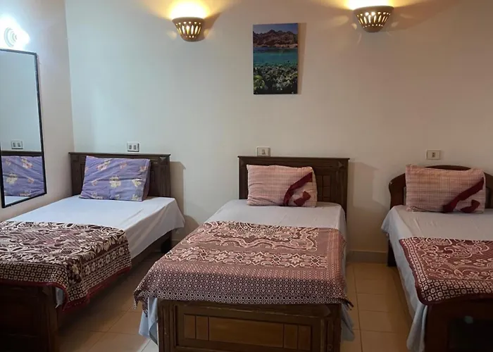 Otel Miramar Camp *