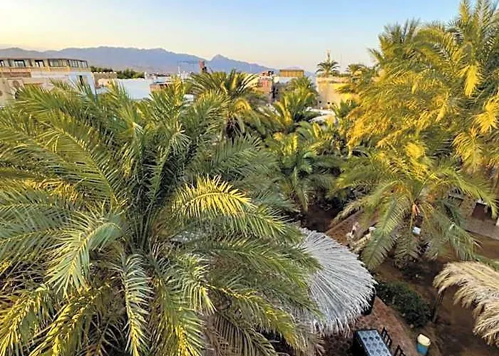 Otel Miramar Camp